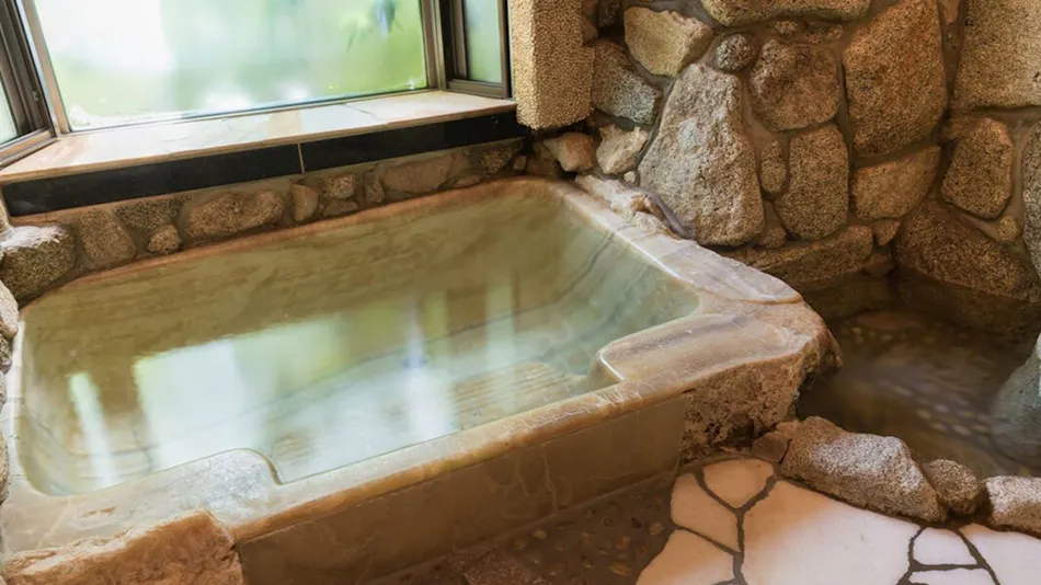 Akizuki Onsen Ryotei Ryokan Seiryuan