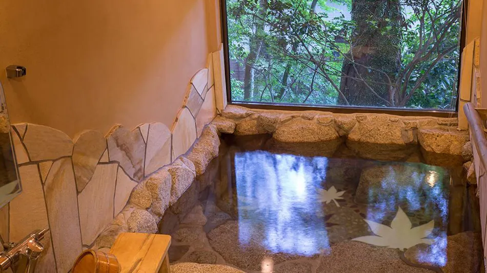 Akizuki Onsen Ryotei Ryokan Seiryuan