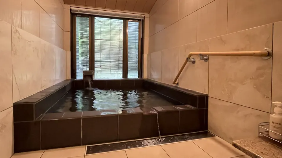 Akizuki Onsen Ryotei Ryokan Seiryuan