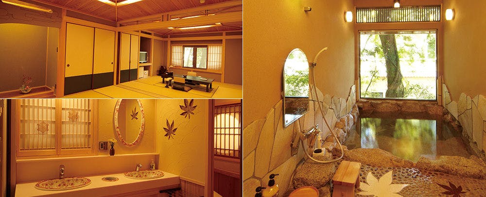 Akizuki Onsen Ryotei Ryokan Seiryuan