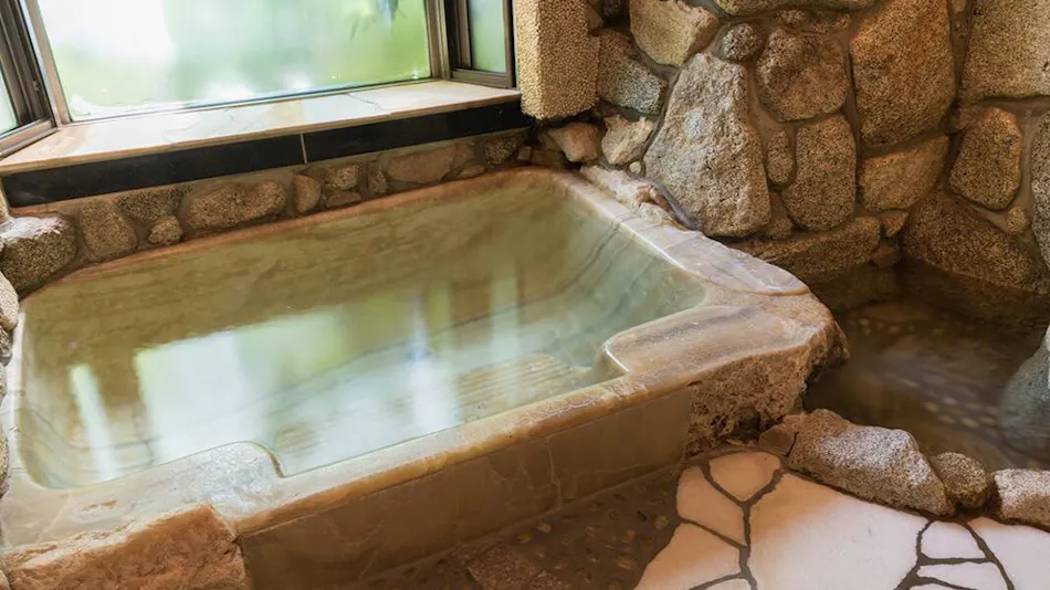 Akizuki Onsen Ryotei Ryokan Seiryuan