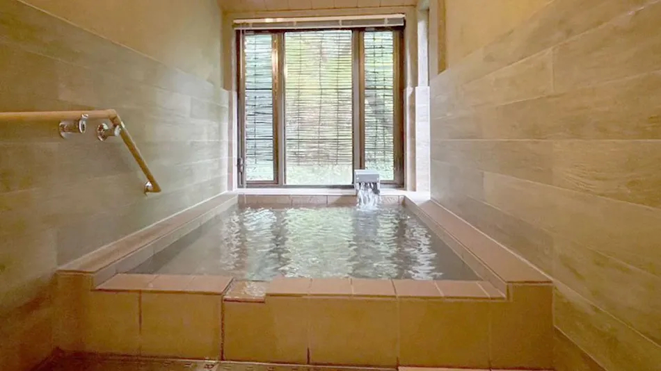 Akizuki Onsen Ryotei Ryokan Seiryuan