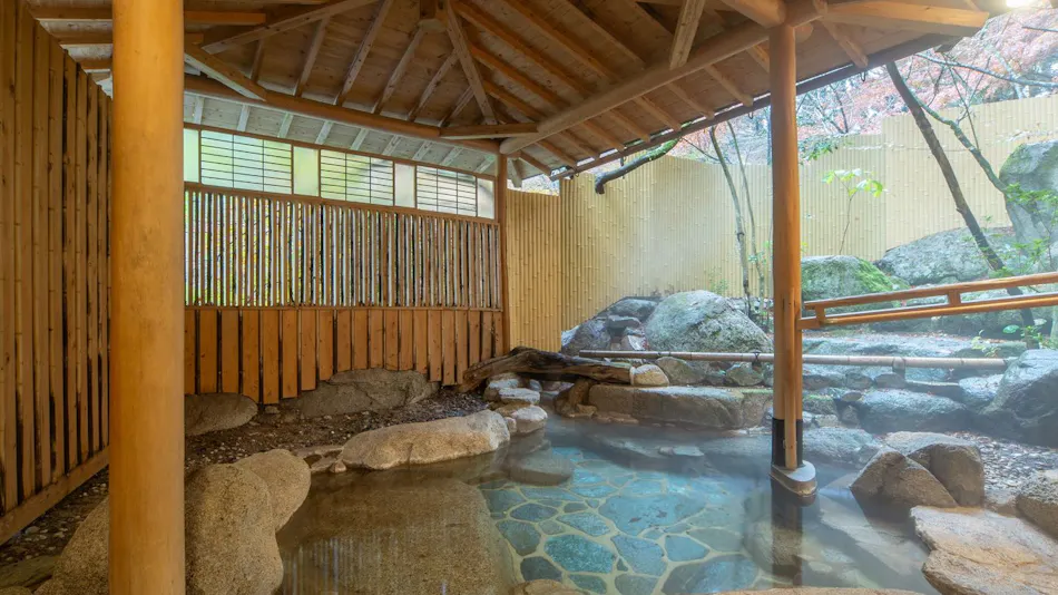 Akizuki Onsen Ryotei Ryokan Seiryuan
