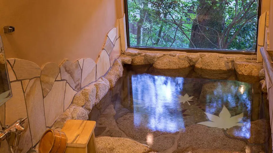 Akizuki Onsen Ryotei Ryokan Seiryuan
