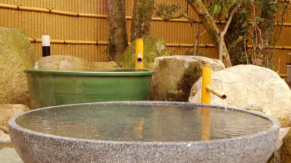 Akizuki Onsen Ryotei Ryokan Seiryuan