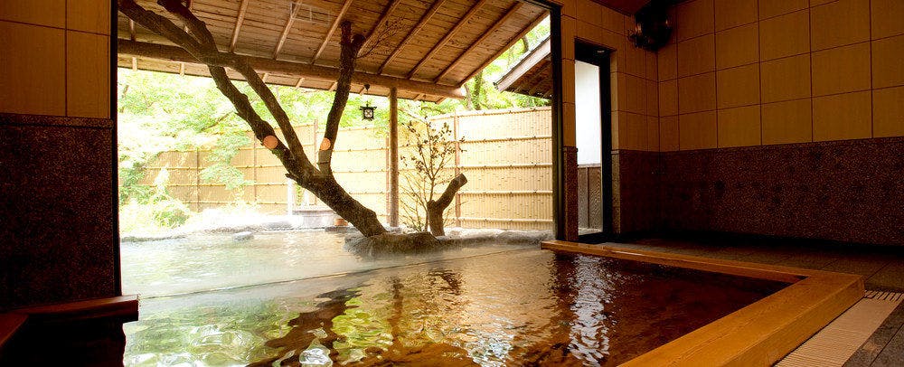 Akizuki Onsen Ryotei Ryokan Seiryuan