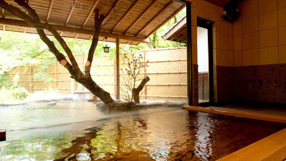 Akizuki Onsen Ryotei Ryokan Seiryuan