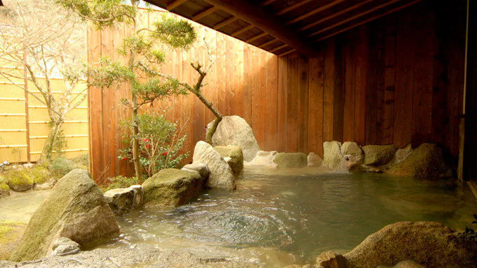 Akizuki Onsen Ryotei Ryokan Seiryuan