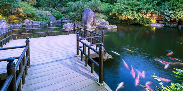 22年最新 カルナパーク花立山温泉から近い宿ランキング 一休 Com 22年最新 カルナパーク花立山温泉から近い宿ランキング 一休 Com