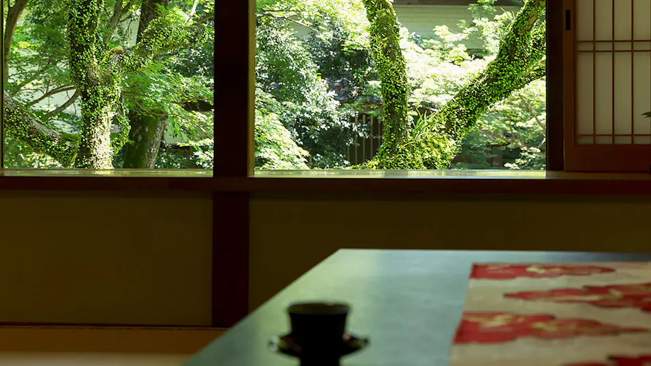 Akizuki Onsen Ryotei Ryokan Seiryuan