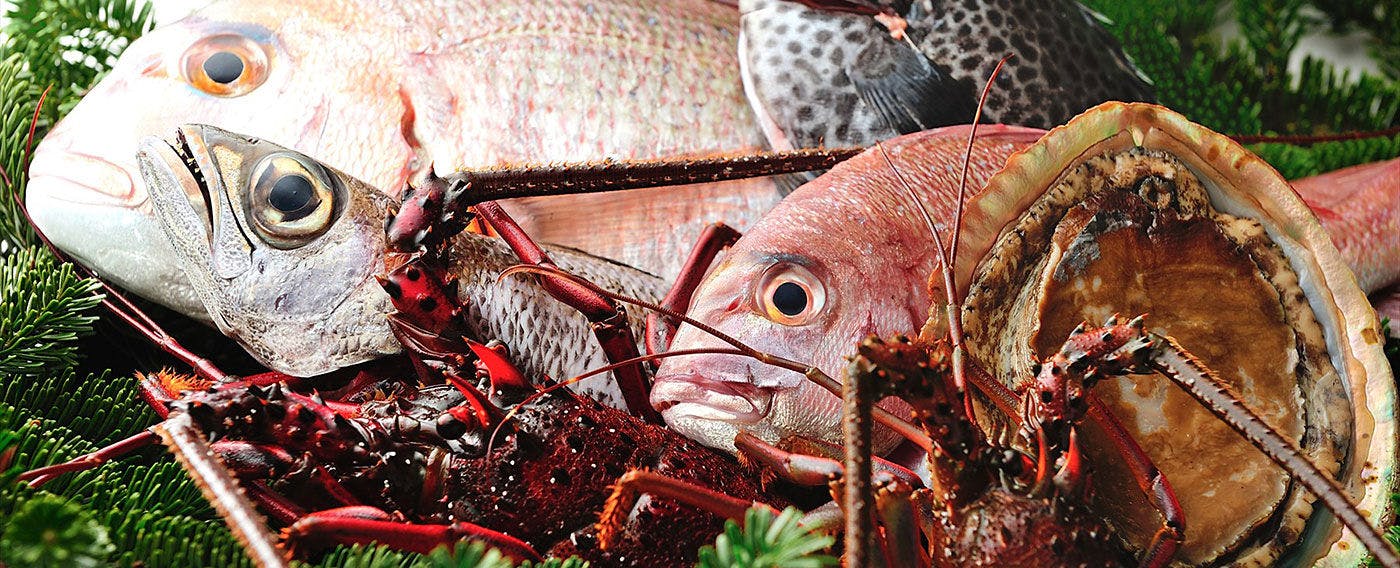 Ikan segar dari Teluk Sagami