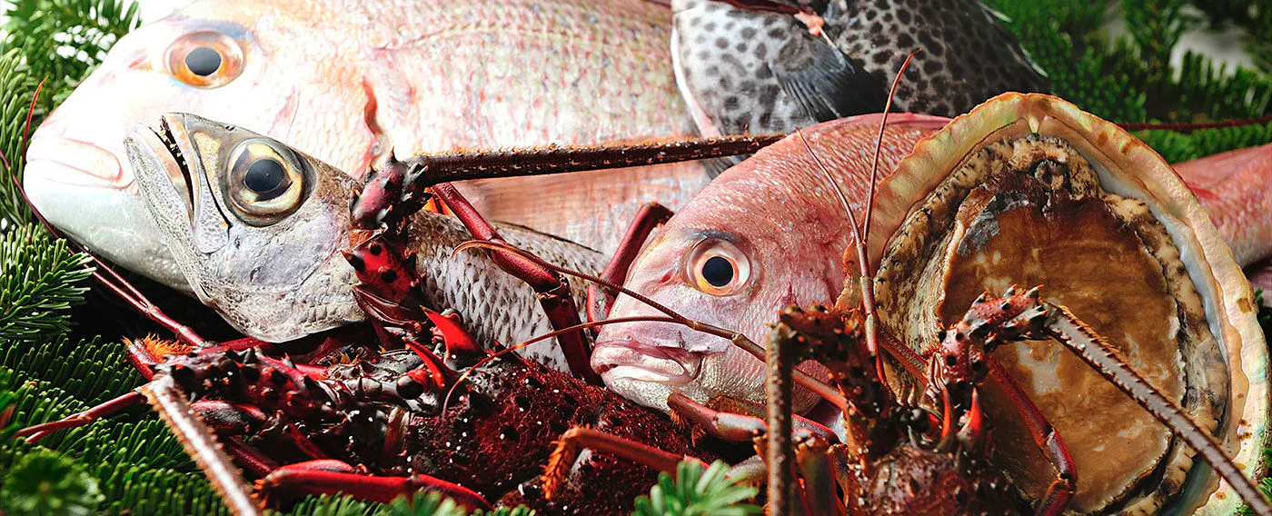 Ikan segar dari Teluk Sagami