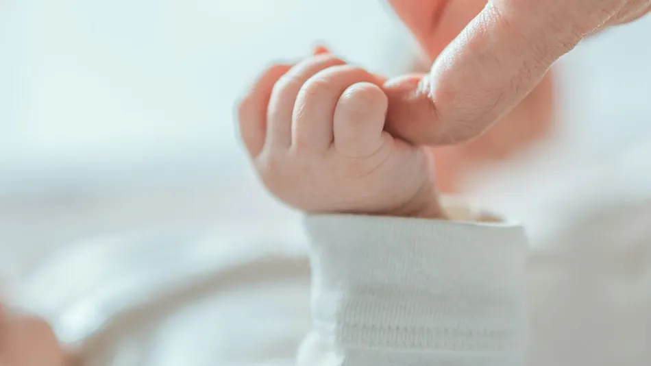 Izu Kogen Auberge Belle Equipe La Belle Equipe