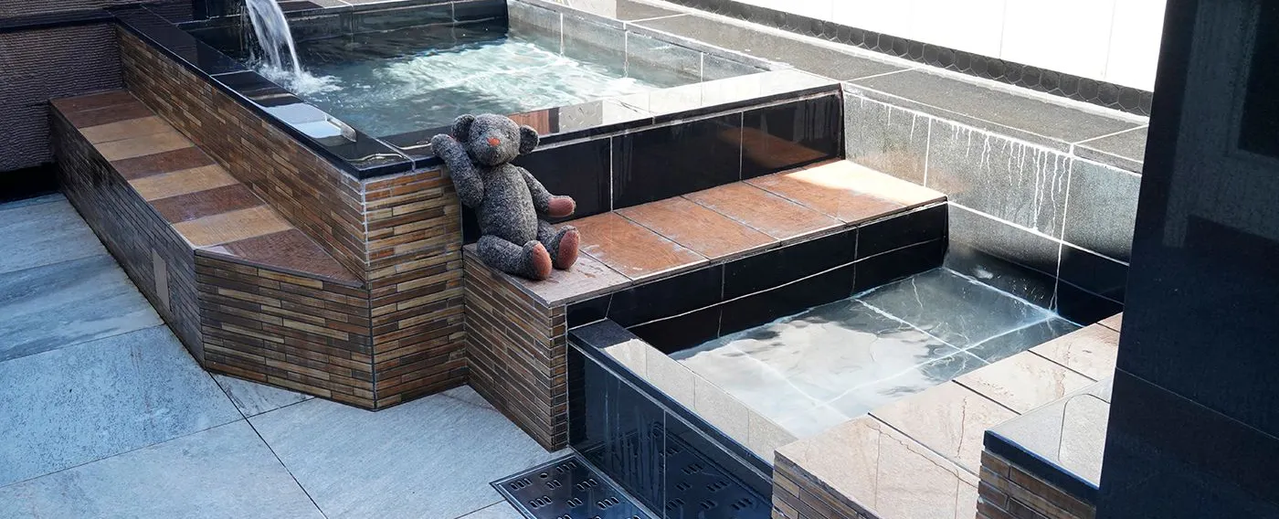 Perjalanan dengan Bayi