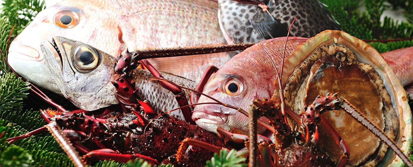 Izu Kogen Auberge Belle Equipe La Belle Equipe