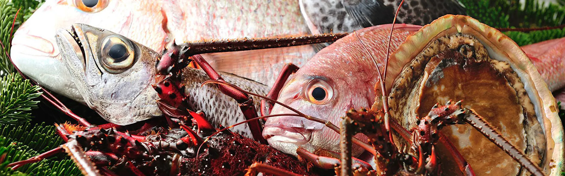 伊豆高原オーベルジュ ベルエキップ La Belle Equipe