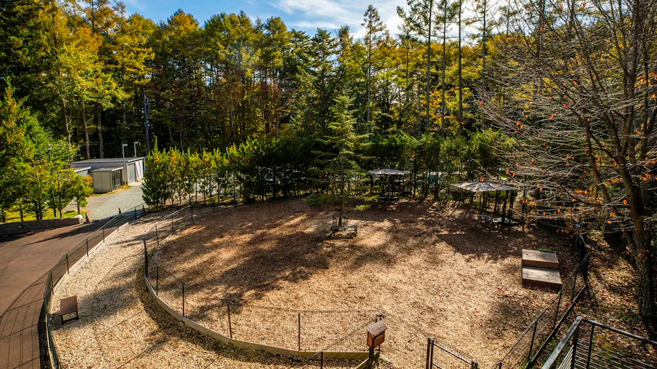 Regina Resort Fuji Suites & Spa