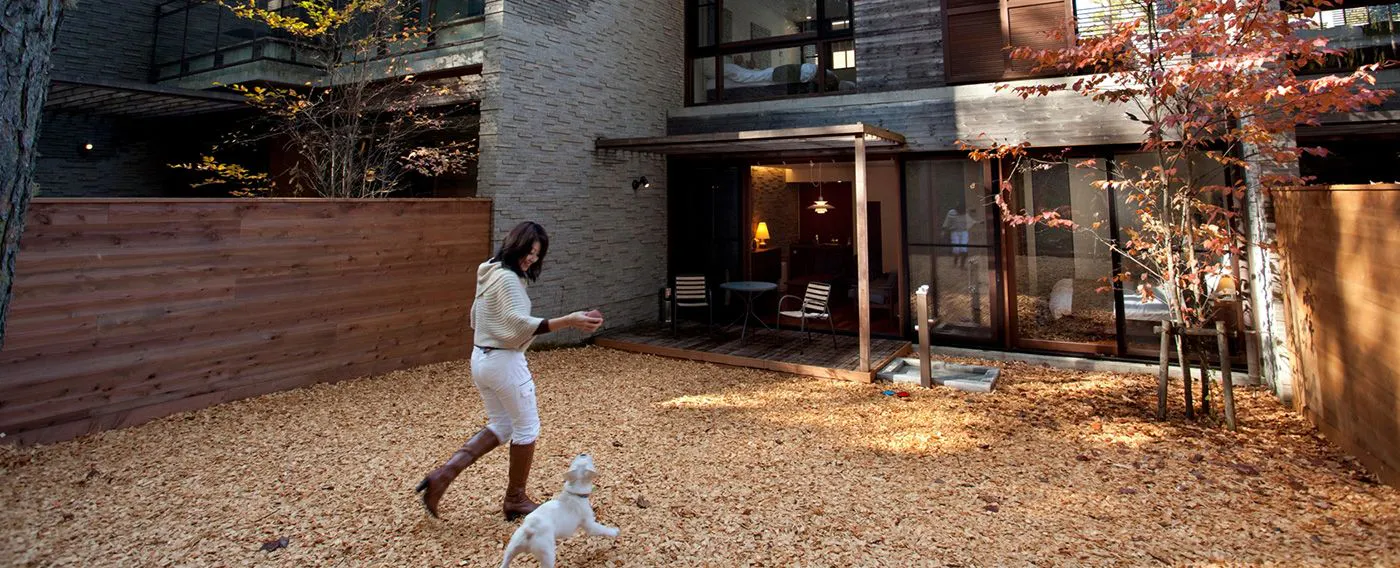 Laman anjing persendirian dengan teres besar