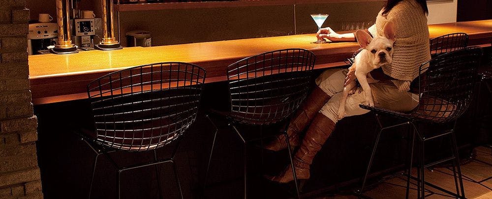 愛犬同伴でご利用いただけるカフェ・バーです。