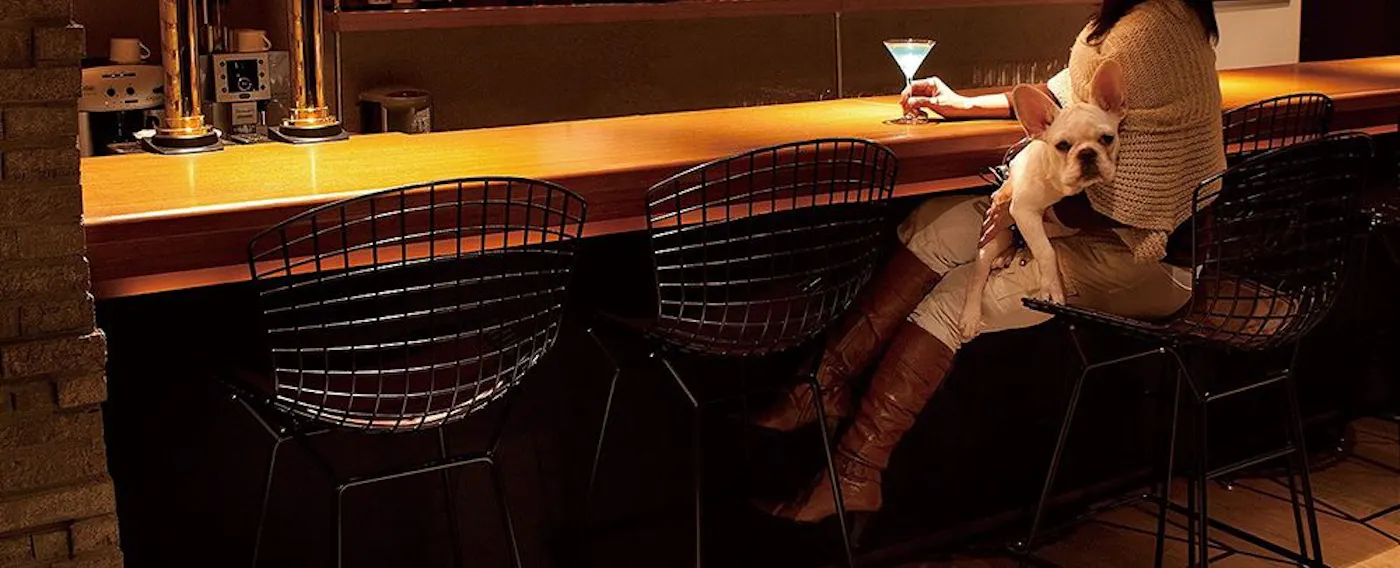 Ini ialah kafe dan bar yang membenarkan anda membawa anjing peliharaan anda.