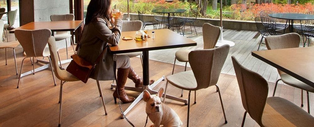 カフェ・バーはテーブル席も人気