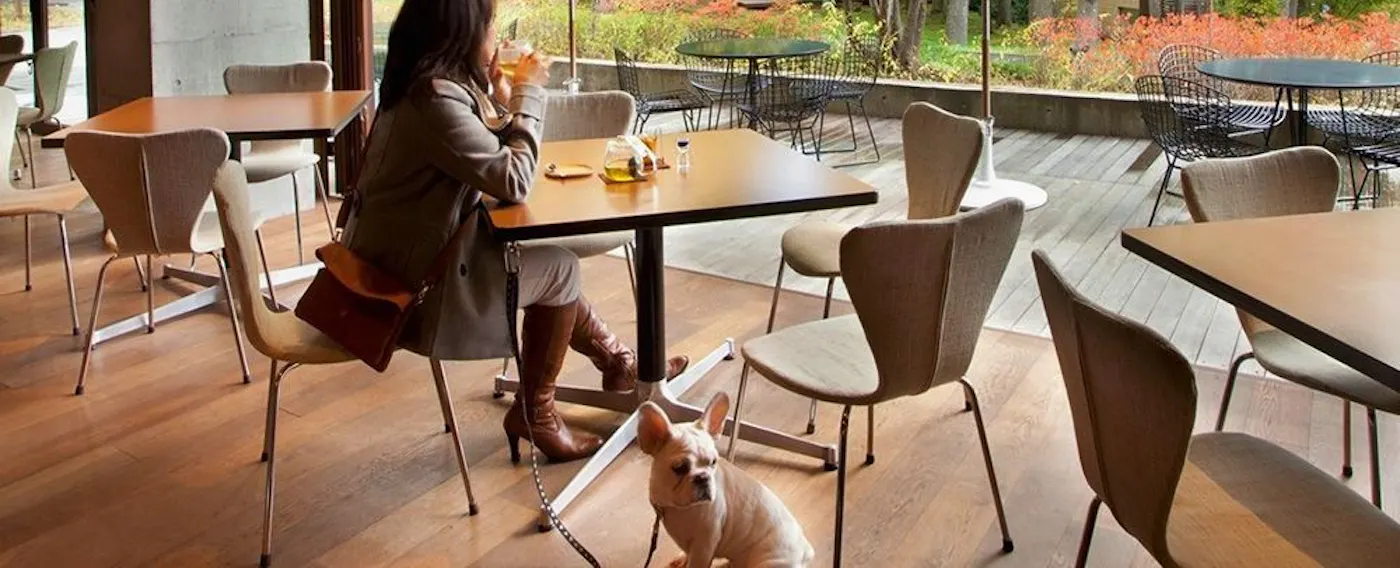 Kafe dan bar ini juga popular dengan tempat duduk meja.