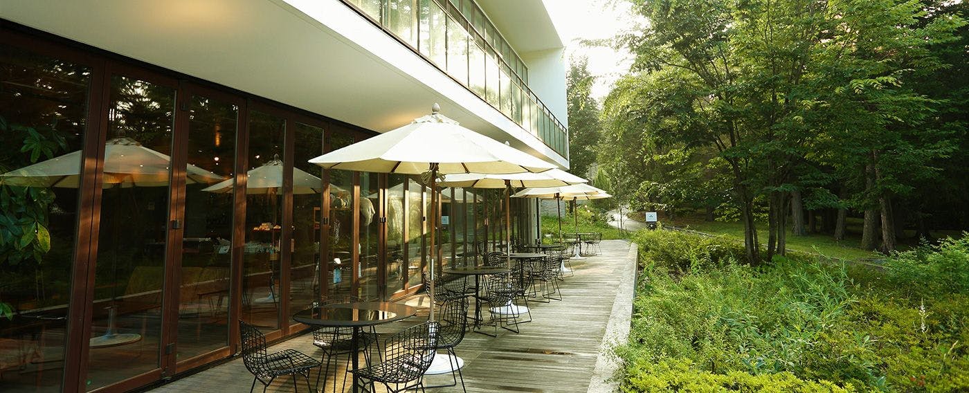 テラス席はもっと近くに自然を感じて