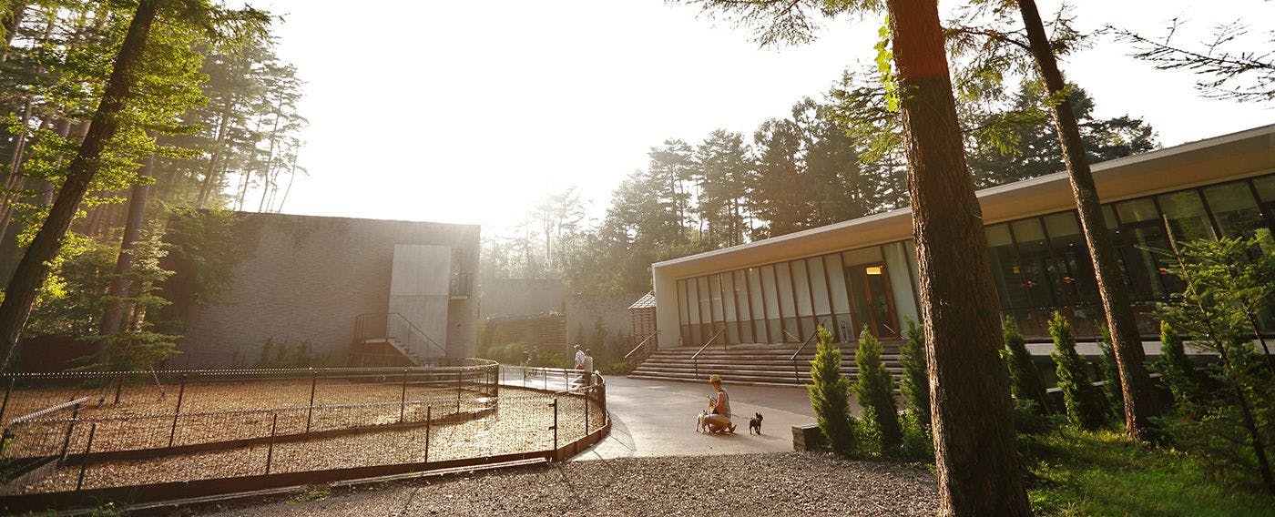 ドッグラン（全犬種兼用、小型犬専用ゾーンあり