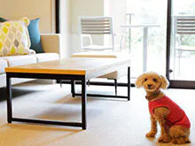 Regina Resort Hakone Sengokuhara