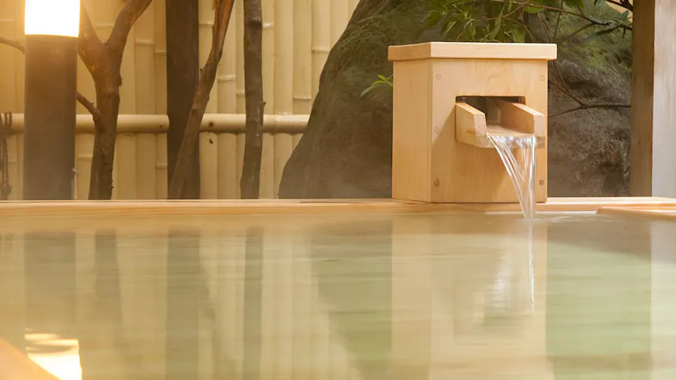 Shinshu Togura Kamiyamada Onsen Kihinkan Ryotei Takano