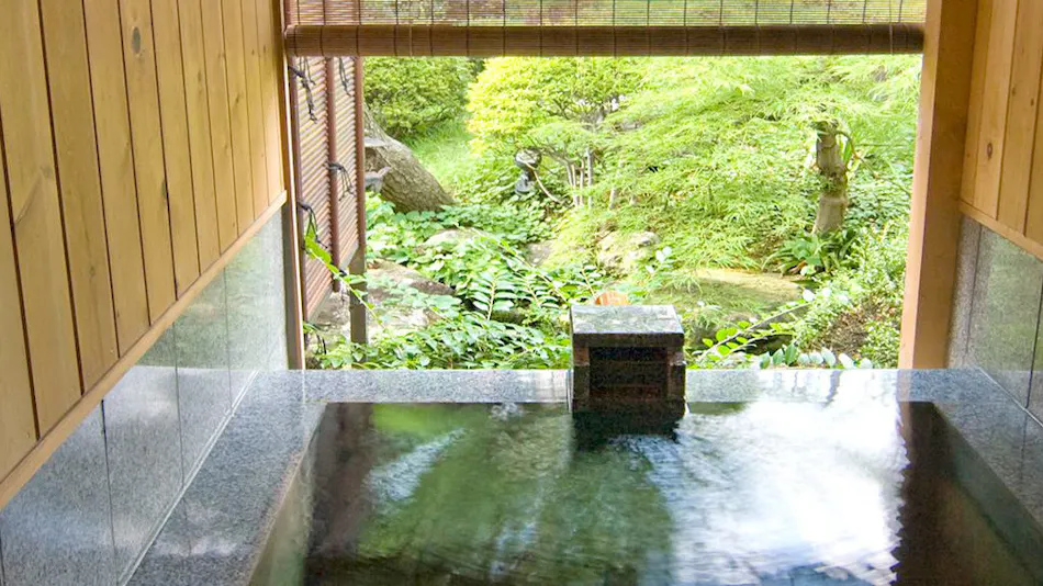 Shinshu Togura Kamiyamada Onsen Kihinkan Ryotei Takano