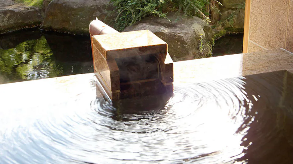 Shinshu Togura Kamiyamada Onsen Kihinkan Ryotei Takano