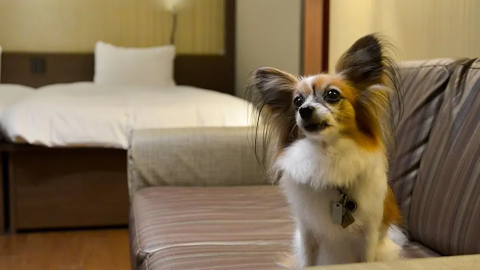 Laforet Hakone Gora Yunosumi