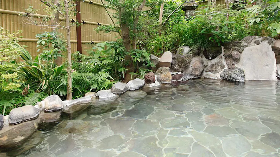 Hakone Yumoto Onsen Bansuirou Fukuzumi