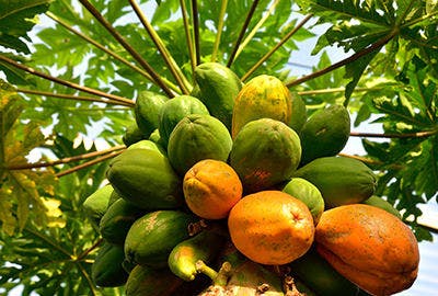 ジ ウザテラス ビーチクラブヴィラズ の空室状況を確認する 宿泊予約は 一休 Com