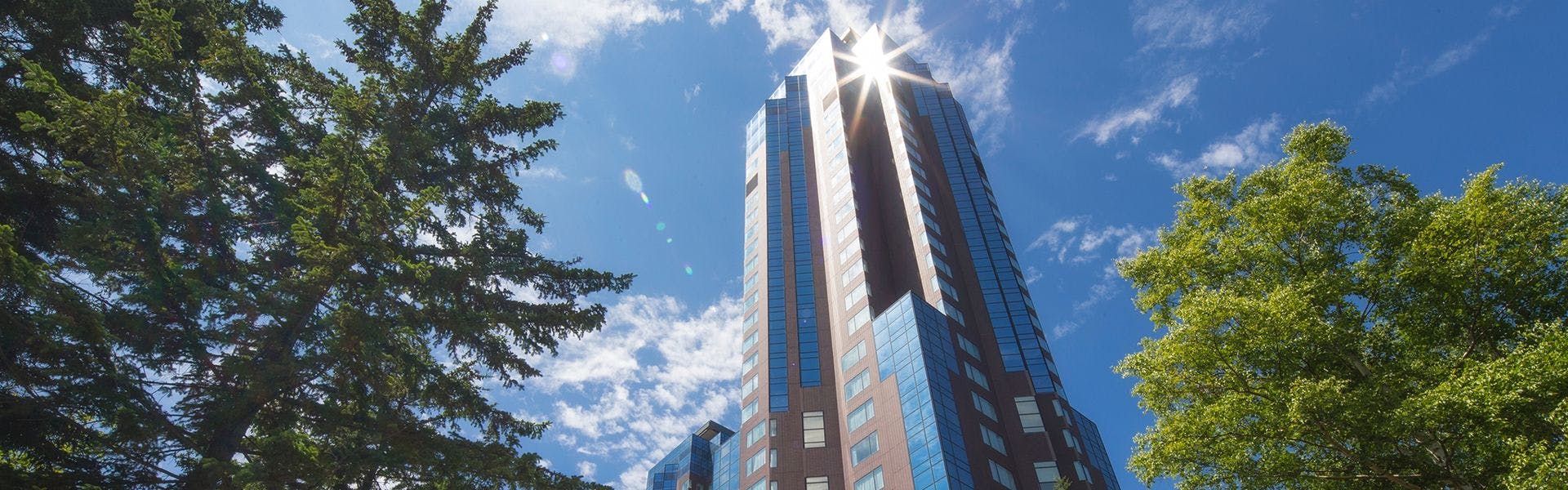 22年最新 星野リゾート トマム ザ タワーを見た人におすすめのこの宿に泊まった人がよく泊まる宿ランキング Yahoo トラベル