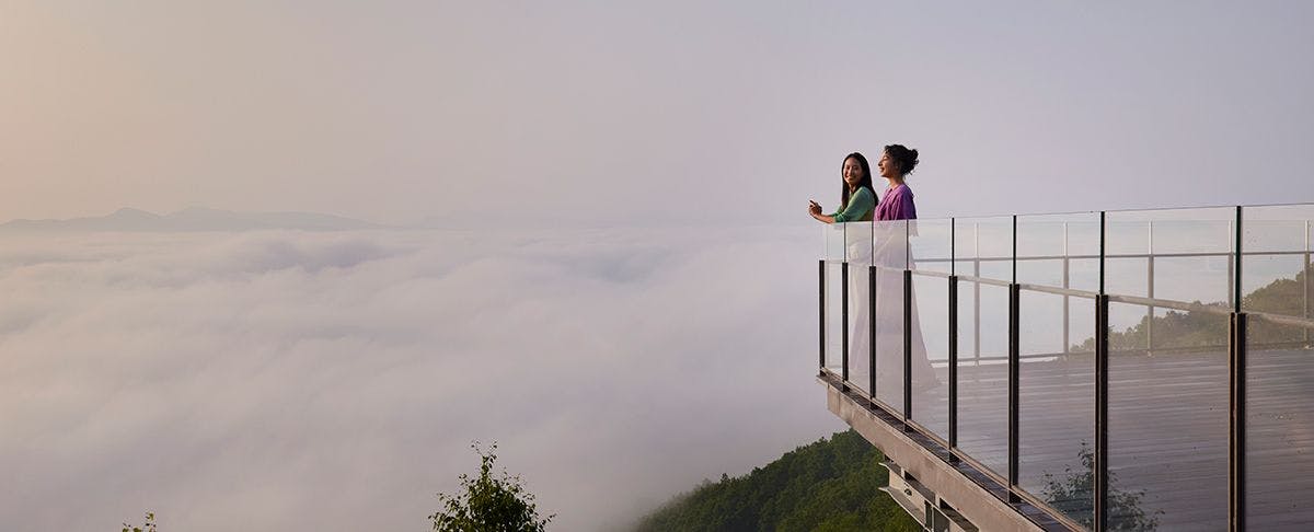 雲海/霧氷テラスイメージ