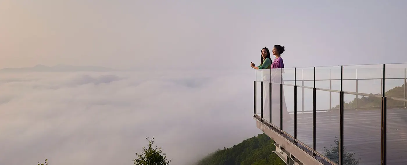 雲海/霧氷テラスイメージ