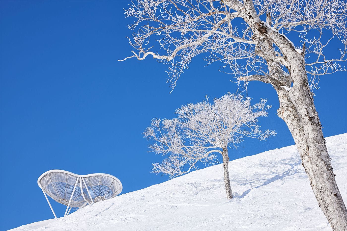 雲海/霧氷テラスイメージ