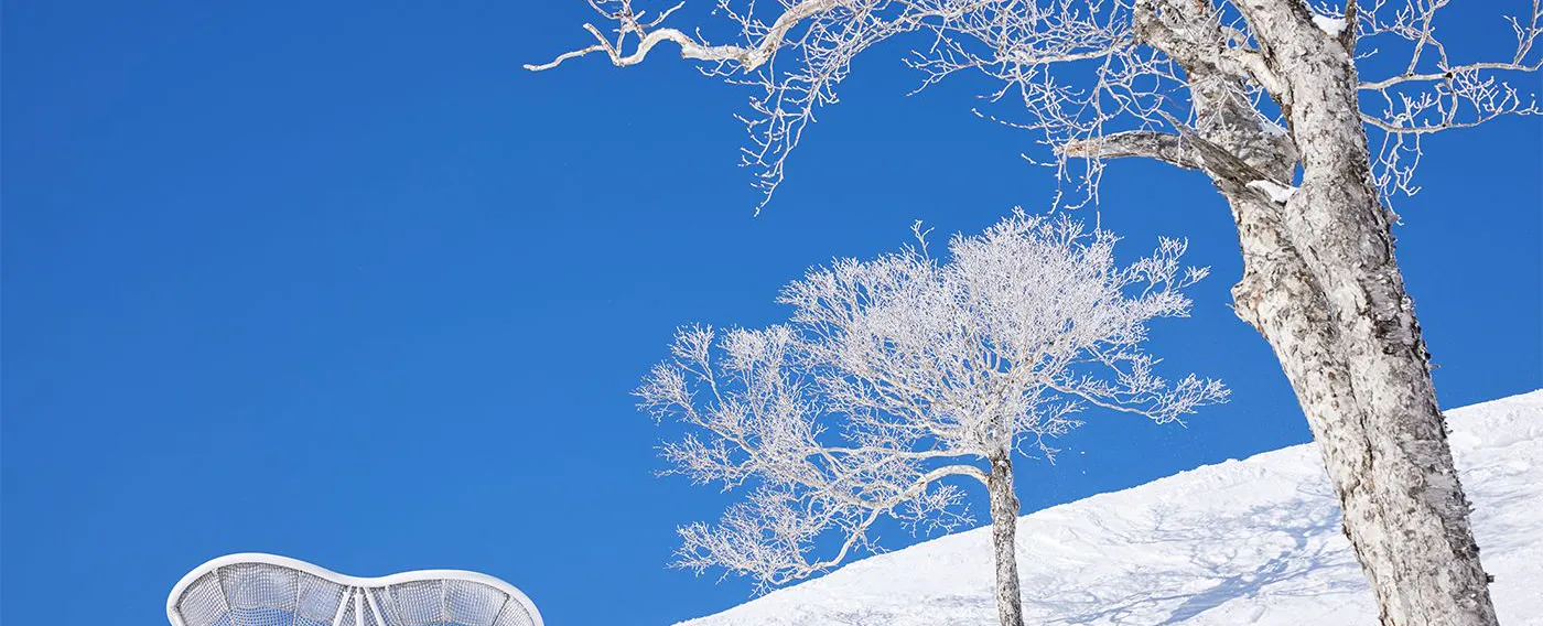 雲海/霧氷テラスイメージ