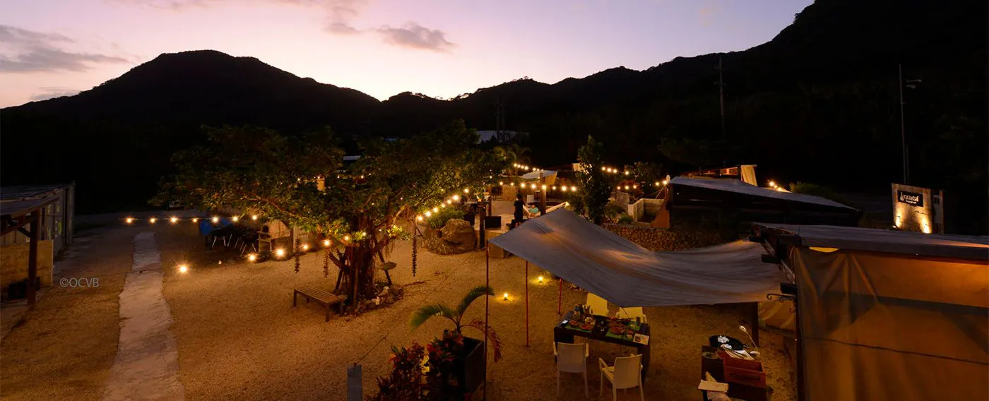 手ぶらで島野菜バーベキュー