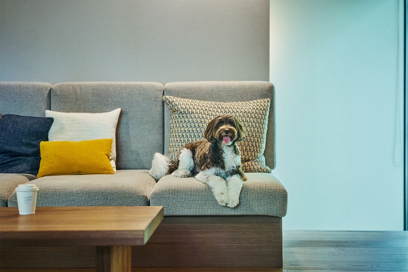 1日1組限定 愛犬と過ごすリトリート