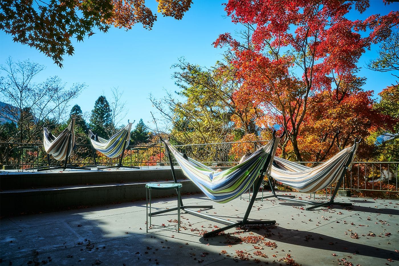 自然の中で体験する心ほぐれる多彩なアクティビティ