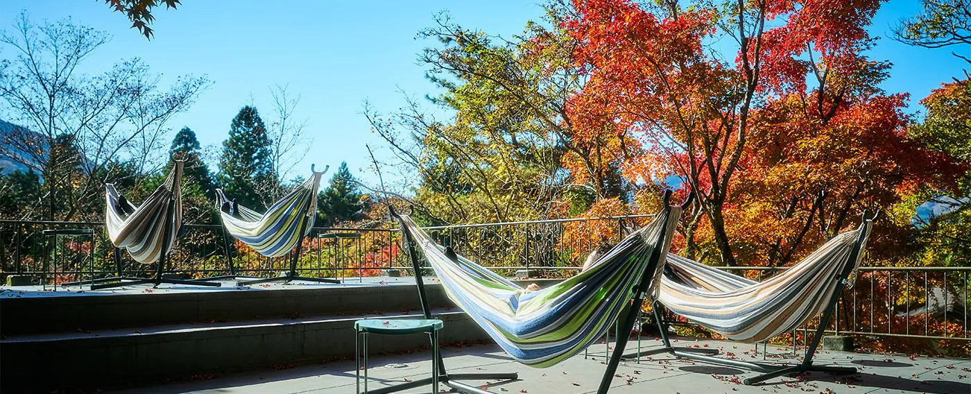 自然の中で体験する心ほぐれる多彩なアクティビティ