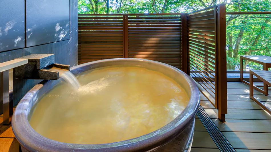 Hakone Ashinoko Hanaori (ORIX Hotels & Resorts)