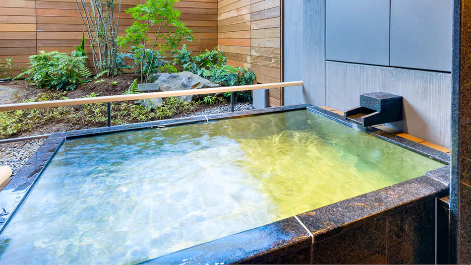 Hakone Ashinoko Hanaori (ORIX Hotels & Resorts)