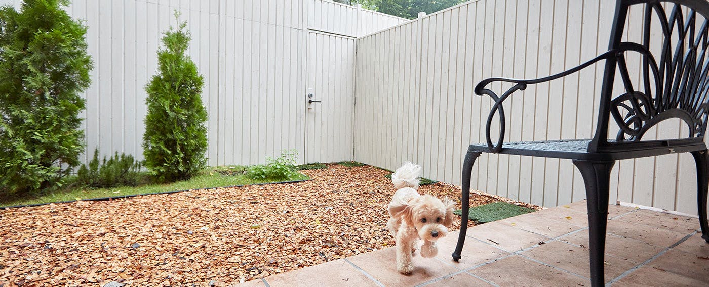 ルシアン旧軽井沢 の空室状況を確認する 宿泊予約は 一休 Com