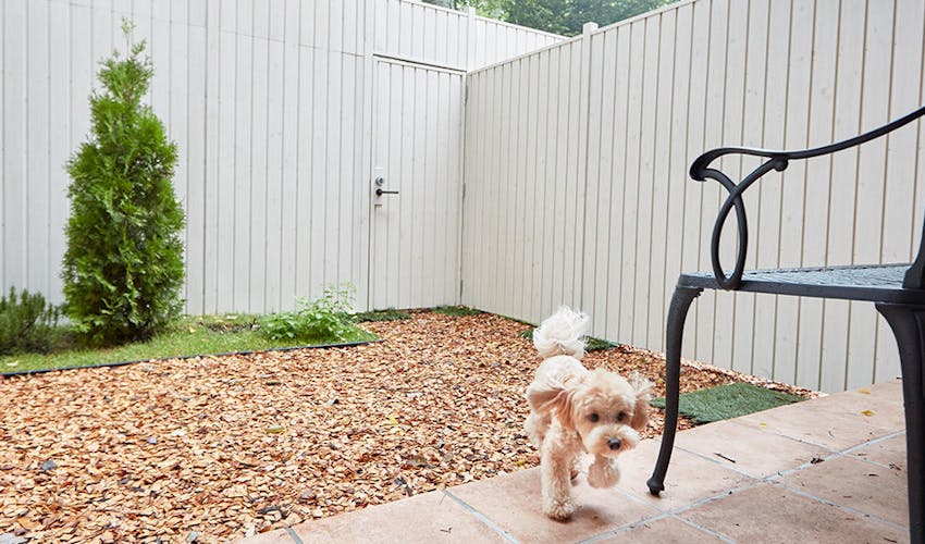 ルシアン旧軽井沢 の空室状況を確認する 宿泊予約は 一休 Com ルシアン旧軽井沢 の空室状況を確認する 宿泊予約は 一休 Com