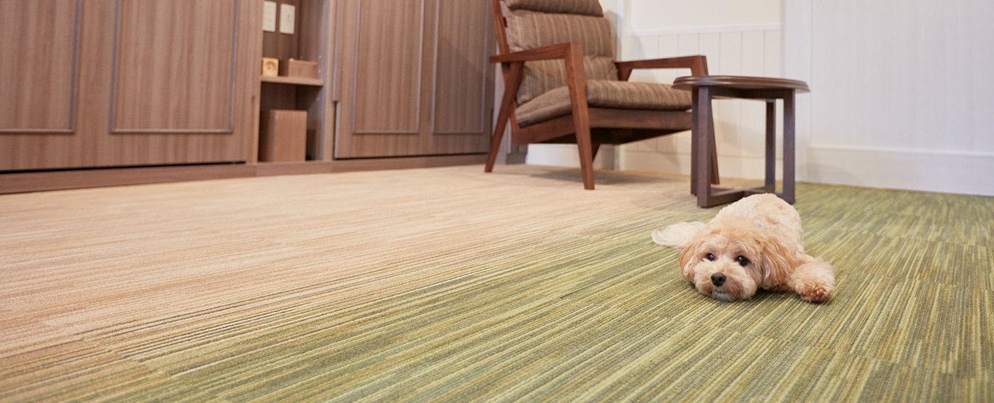 Lucian Old Karuizawa