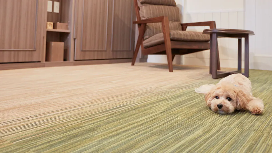 Lucian Old Karuizawa